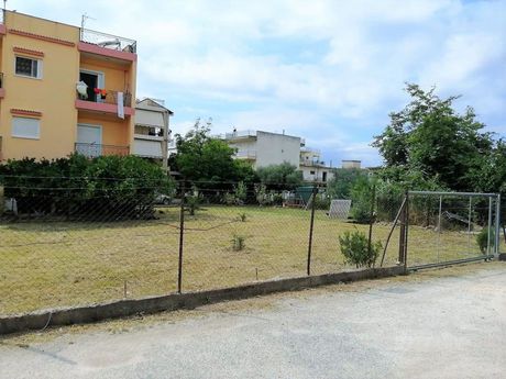 Land plot 400 sqm for rent