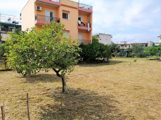 Οικόπεδο 400 τ.μ. για ενοικίαση, Αχαΐα, Πάτρα-thumb-3
