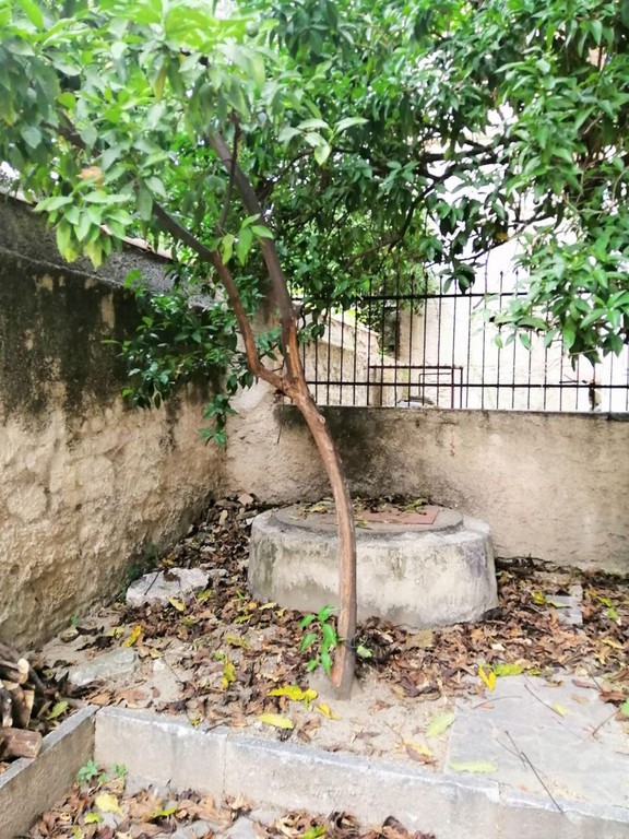 Επιχειρηματικό κτίριο 690 τ.μ. πρός ενοικίαση, Αχαΐα, Πάτρα