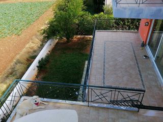 Μονοκατοικία 760 τ.μ. για πώληση, Αχαΐα, Μεσσατίδα-thumb-24