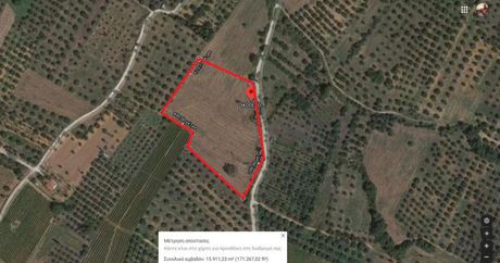 Αγροτεμάχια 15.000 τ.μ. για πώληση