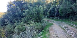 Αγροτεμάχια 4.950 τ.μ. πρός πώληση, Αχαΐα, Ρίο-thumb-2