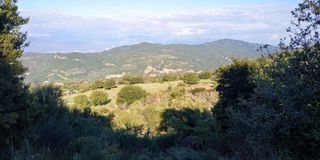 Αγροτεμάχια 4.950 τ.μ. πρός πώληση, Αχαΐα, Ρίο-thumb-3