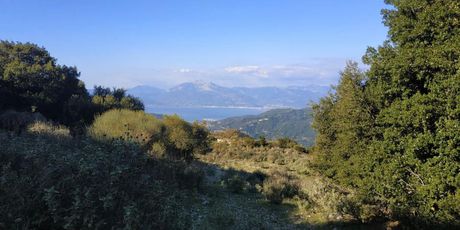 Αγροτεμάχια 4.950τ.μ. για πώληση-Ρίο » Σελλά