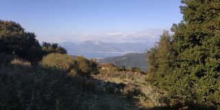 Αγροτεμάχια 4.950 τ.μ. πρός πώληση, Αχαΐα, Ρίο-thumb-5