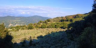 Αγροτεμάχια 4.950 τ.μ. πρός πώληση, Αχαΐα, Ρίο-thumb-1
