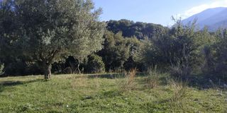 Αγροτεμάχια 3.540 τ.μ. πρός πώληση, Αχαΐα, Ρίο-thumb-9
