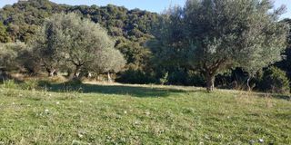 Αγροτεμάχια 3.540 τ.μ. πρός πώληση, Αχαΐα, Ρίο-thumb-7