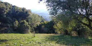 Αγροτεμάχια 3.540 τ.μ. πρός πώληση, Αχαΐα, Ρίο-thumb-10