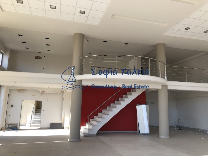 Επιχειρηματικό κτίριο 792 τ.μ. πρός πώληση, Μαγνησία, Βόλος