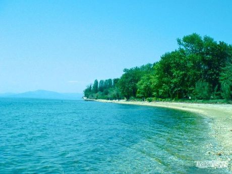 Οικόπεδο 3.764τ.μ. για πώληση-Μηλιές » Κορόπη