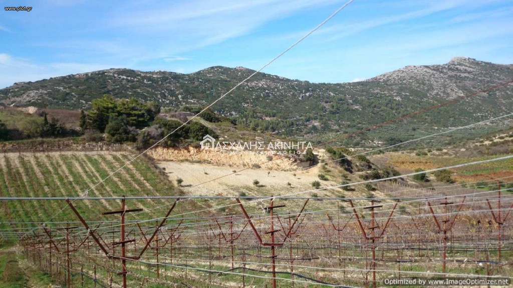 Οικόπεδο 15.300 τ.μ. προς πώληση, Επάνω Αρχάνες