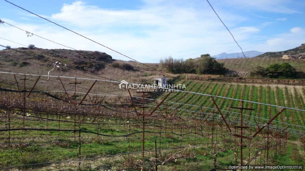 Οικόπεδο 15.300 τ.μ. προς πώληση, Επάνω Αρχάνες