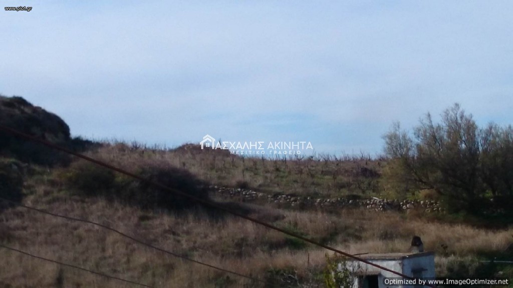 Οικόπεδο 15.300 τ.μ. προς πώληση, Επάνω Αρχάνες