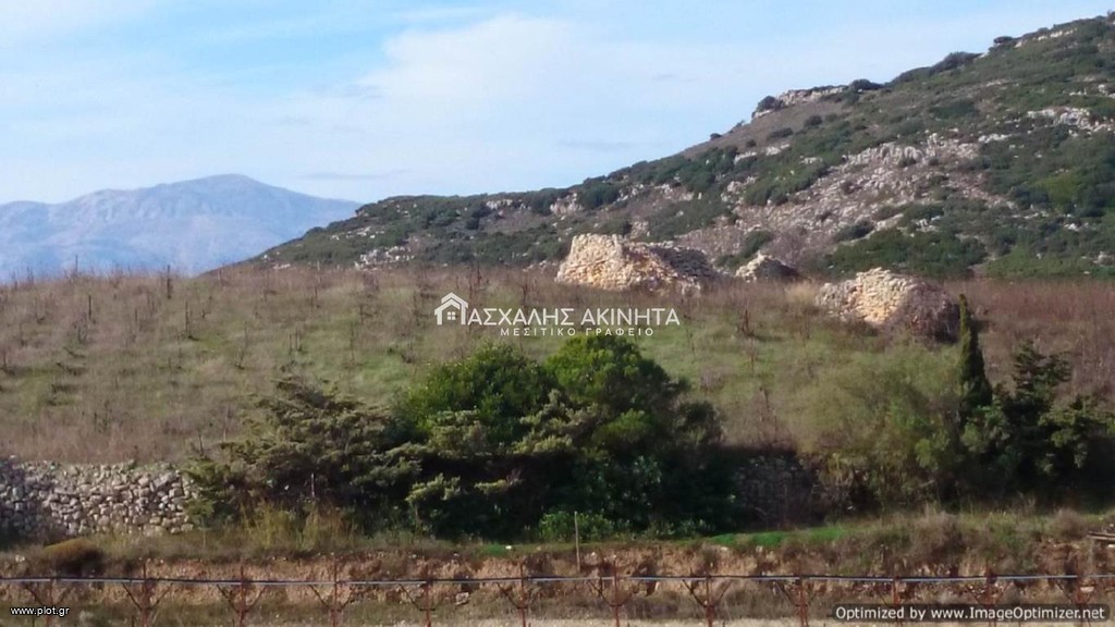 Οικόπεδο 15.300 τ.μ. προς πώληση, Επάνω Αρχάνες