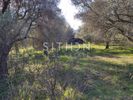 Parcel 4.080sqm for sale-Toroni » Sikia