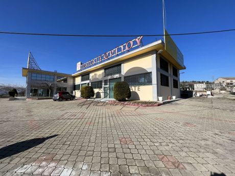 Βιοτεχνικός χώρος 530τ.μ. για πώληση-Αισωνία » Διμήνι