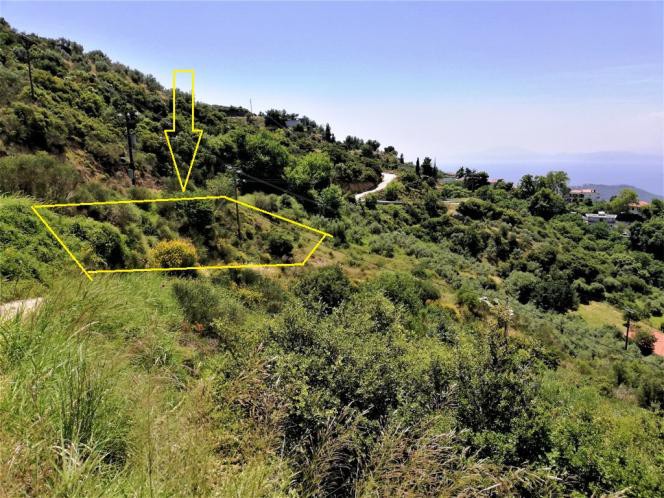 Οικόπεδο 1.295 τ.μ. πρός πώληση, Μαγνησία, Ιωλκός
