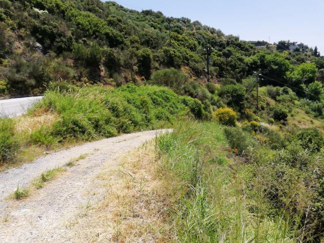 Οικόπεδο 1.295 τ.μ. πρός πώληση, Μαγνησία, Ιωλκός