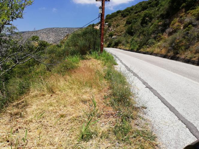 Οικόπεδο 1.295 τ.μ. πρός πώληση, Μαγνησία, Ιωλκός