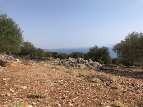 Parcel 2.734sqm for sale-Kefalonia » Leivatho
