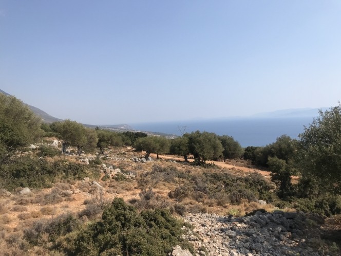 Αγροτεμάχια 2.734 τ.μ. πρός πώληση, Ν. Κεφαλονιάς, Κεφαλονιά