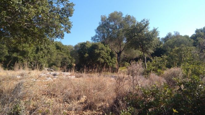 Parcel 5.302 sqm for sale, Kefallinia Prefecture, Kefalonia