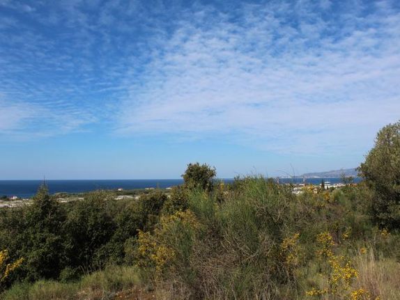 Parcel 5.830 sqm for sale, Kefallinia Prefecture, Kefalonia