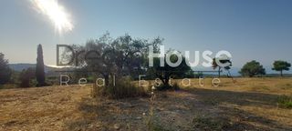 Αγροτεμάχια 12.593 τ.μ. πρός πώληση, Αχαΐα, Παραλία-thumb-7