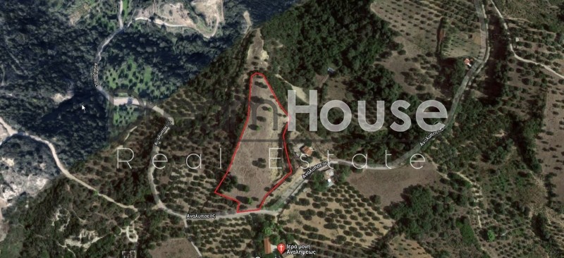Αγροτεμάχια 12.593 τ.μ. πρός πώληση, Αχαΐα, Παραλία