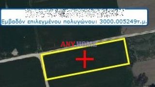 Αγροτεμάχια 3.000 τ.μ. για πώληση