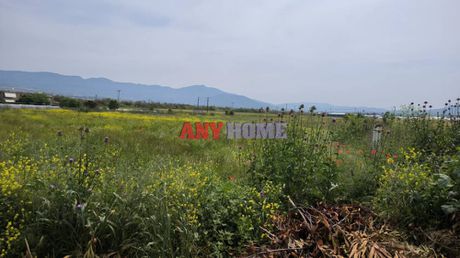 Αγροτεμάχια 5.680 τ.μ. για πώληση