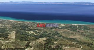 Αγροτεμάχια 12.000 τ.μ. για πώληση