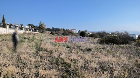 Αγροτεμάχια 4.500 τ.μ. για πώληση