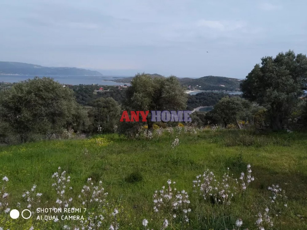 Αγροτεμάχια 1.700 τ.μ. προς πώληση, Αμολιανή