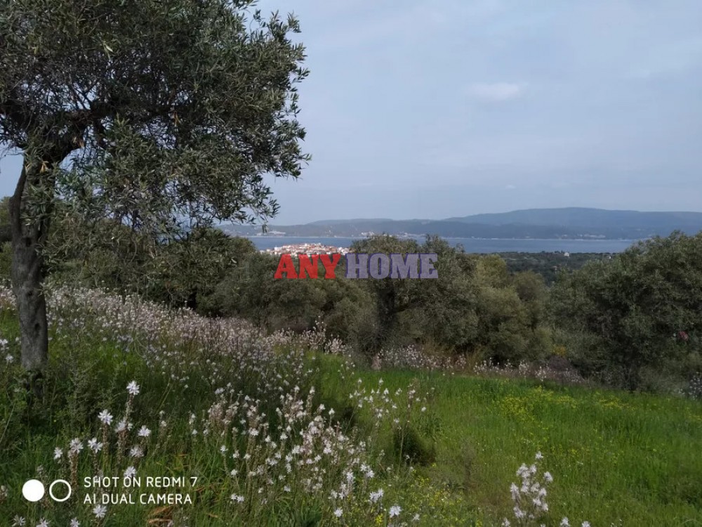 Αγροτεμάχια 1.700 τ.μ. προς πώληση, Αμολιανή
