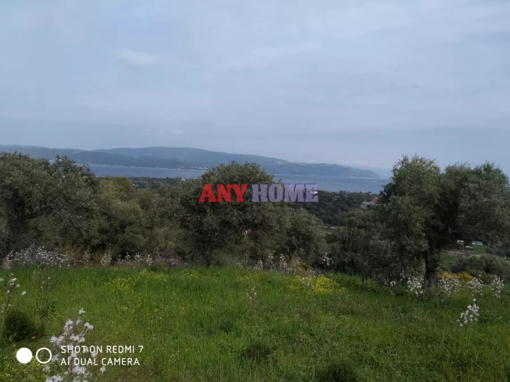Αγροτεμάχια 1.700 τ.μ. προς πώληση, Αμολιανή