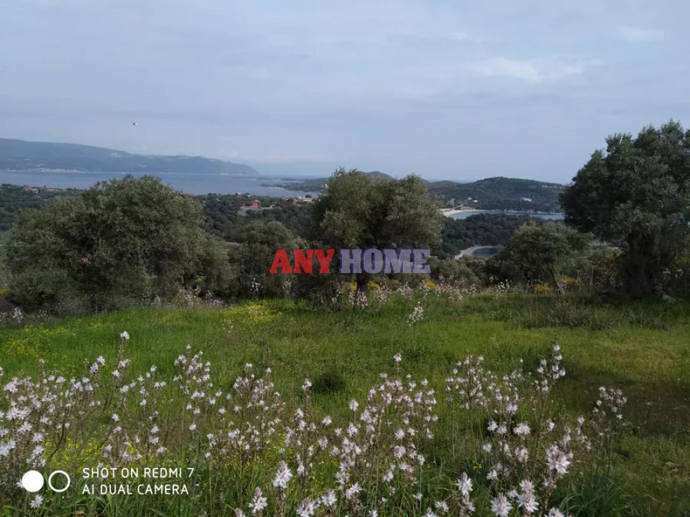 Αγροτεμάχια 1.700 τ.μ. προς πώληση, Αμολιανή