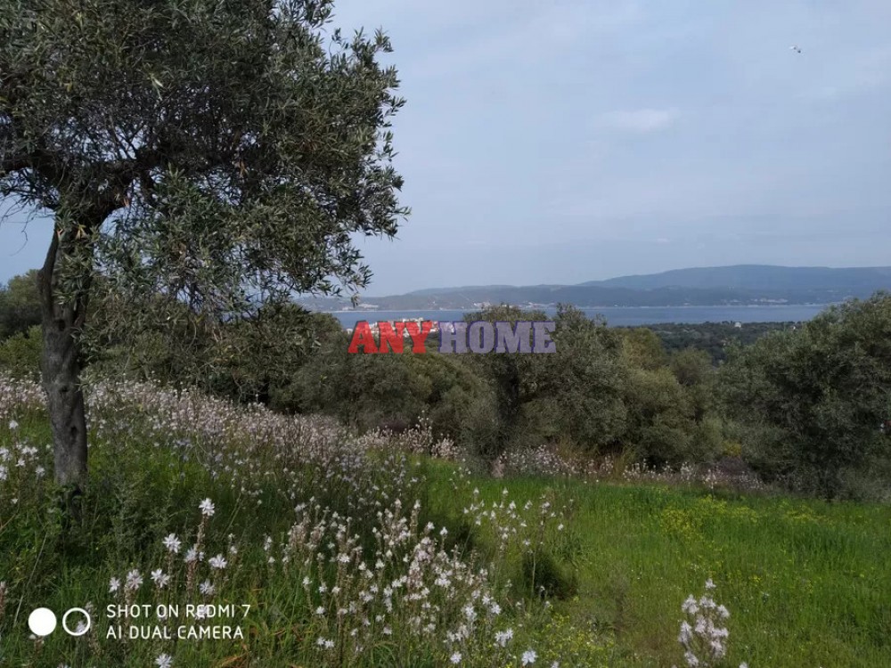 Αγροτεμάχια 1.700 τ.μ. προς πώληση, Αμολιανή