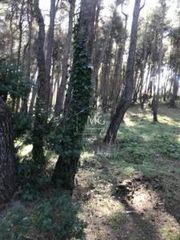 Οικόπεδο 3.762 τ.μ. για πώληση