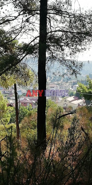 Οικόπεδο 530 τ.μ. πρός πώληση, Χαλκιδική, Παλλήνη