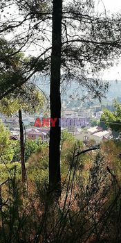 Land plot 530 sqm for sale