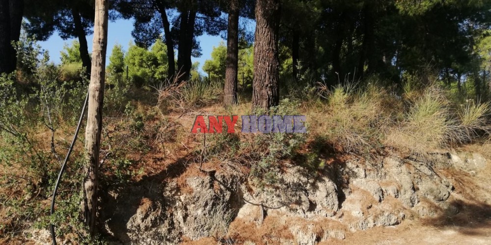Οικόπεδο 530 τ.μ. πρός πώληση, Χαλκιδική, Παλλήνη