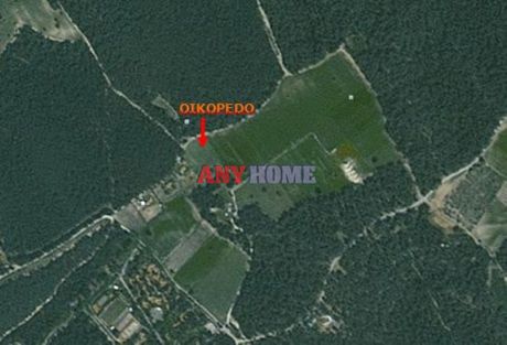 Parcel 7.125sqm for sale-Kassandra » Stavros