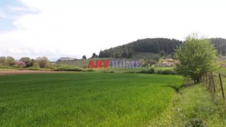 Αγροτεμάχια 7.500 τ.μ. για πώληση, Χαλκιδική, Κασσάνδρα-thumb-1