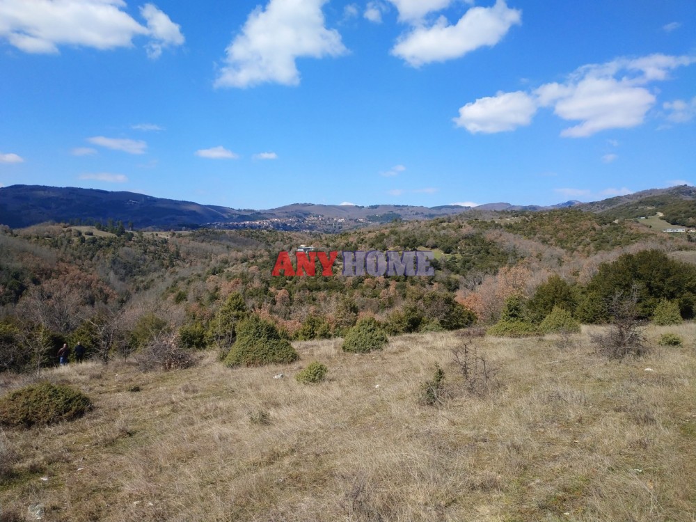 Αγροτεμάχια 8.190 τ.μ. πρός πώληση, Χαλκιδική, Πολύγυρος