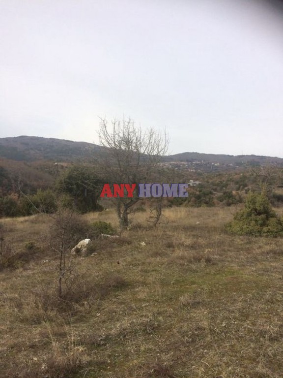 Αγροτεμάχια 8.190 τ.μ. πρός πώληση, Χαλκιδική, Πολύγυρος