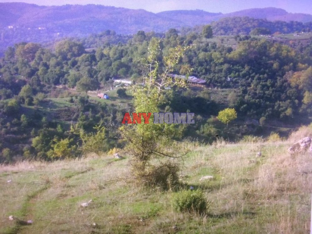 Αγροτεμάχια 8.190 τ.μ. πρός πώληση, Χαλκιδική, Πολύγυρος
