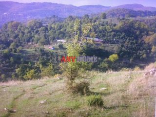 Αγροτεμάχια 8.190 τ.μ. για πώληση