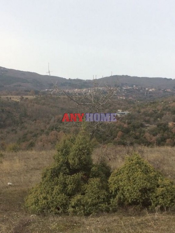 Αγροτεμάχια 8.190 τ.μ. πρός πώληση, Χαλκιδική, Πολύγυρος